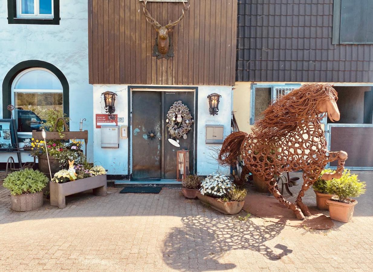 Hof Vierzehnender Im Hohen Venn - 70qm Maisonette - 2 Schlafzimmer - Wohnkueche - Balkon Mit Grill - - Eifel - Hunde Willkommen - Islandpferde Appartamento *